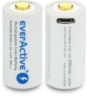 Akumulatorek 16340 / R-CR123 3V everActive 700mAh (1 szt.) z zabezpieczeniem EVERACTIVE