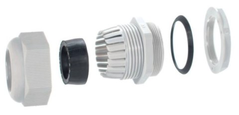 Dławnica kablowa z gwintem PG-21 jasnoszary (1szt.) TRYTYT