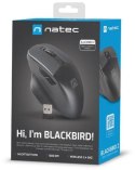 Mysz komputerowa Natec Blackbird 2 NATEC