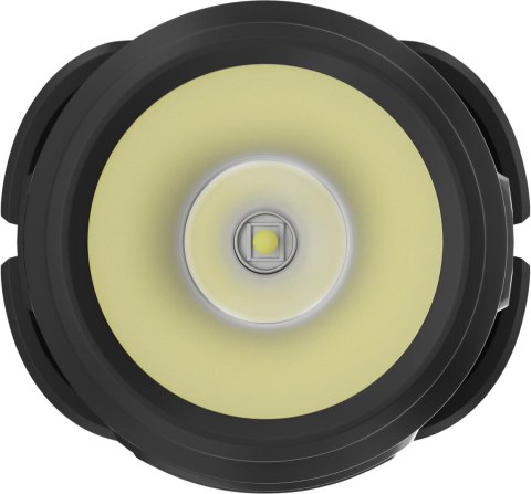 Latarka czołowa Newell Campina Multi NEWELL