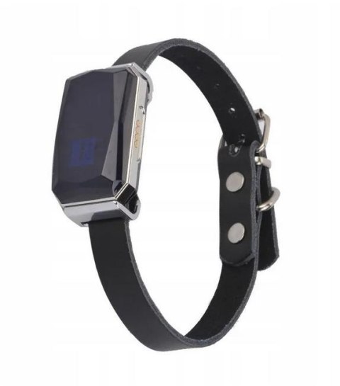 Lokalizator GPS Mking MK12P MKING