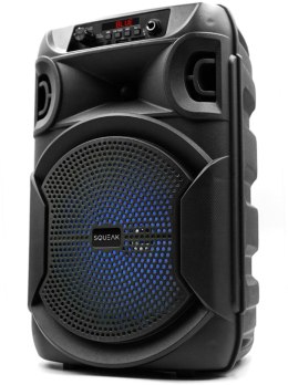 Głośnik mobilny SQUEAK SQ1006 30W Radio FM Czarny SQUEAK