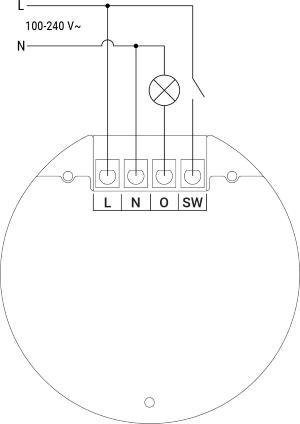 Shelly Wall Display XL Black SHELLY