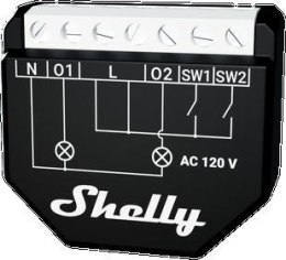 Shelly Qubino Wave 2PM SHELLY