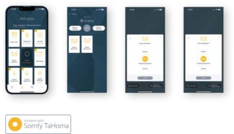 Moduł łączności BFT B-EBA Wi-Fi EVO z anteną (Bluetooth/easyAXS/TaHoma) BFT