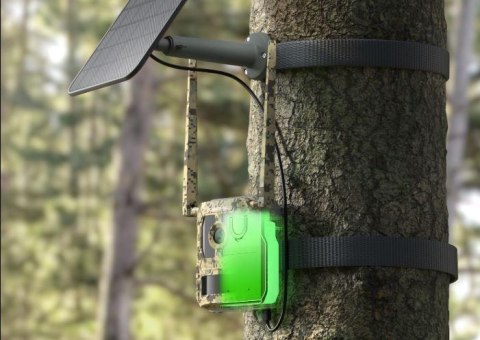 Fotopułapka Reolink Camovue 8MP LTE Talon Series S130 REOLINK