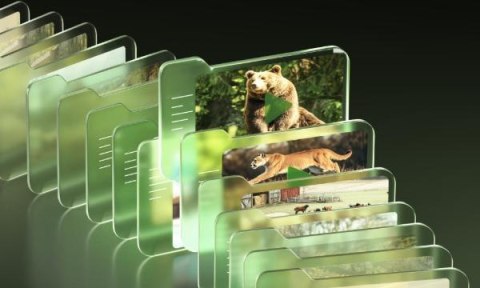 Fotopułapka Reolink Camovue 8MP LTE Talon Series S130 REOLINK