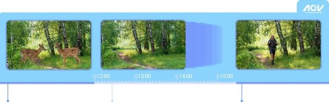 Kamera IP Ezviz EB8 Pro 4G 4K Kit 8MP z panelem słonecznym 8W 4G Wi-Fi EZVIZ
