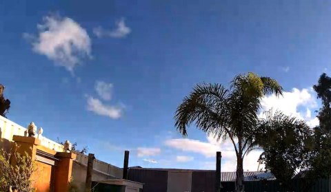 Kamera IP Reolink GO Series G330 camuflage z panelem solarnym REOLINK