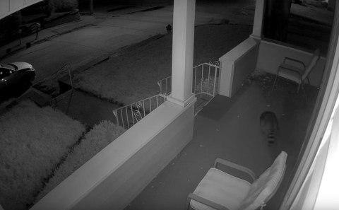 Kamera IP Reolink GO Series G330 camuflage z panelem solarnym REOLINK