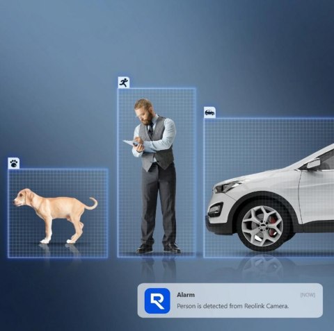 Kamera IP Reolink P330 8Mpix POE P2P IR 30m biała REOLINK