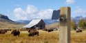 Kamera IP Reolink GO Series G330 camuflage z panelem solarnym REOLINK