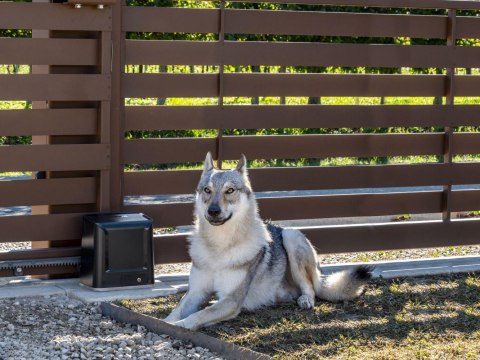 Napęd bram przesuwnych Beninca KWOLF424.P2 24V zestaw do 450kg