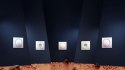 Przycisk Walli Switch FIBARO FGWDSEU-221