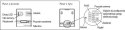 WIDEODOMOFON IP ''EURA'' IVP-02C7 ''LUTRA'' natynk - POLSKI SERWER